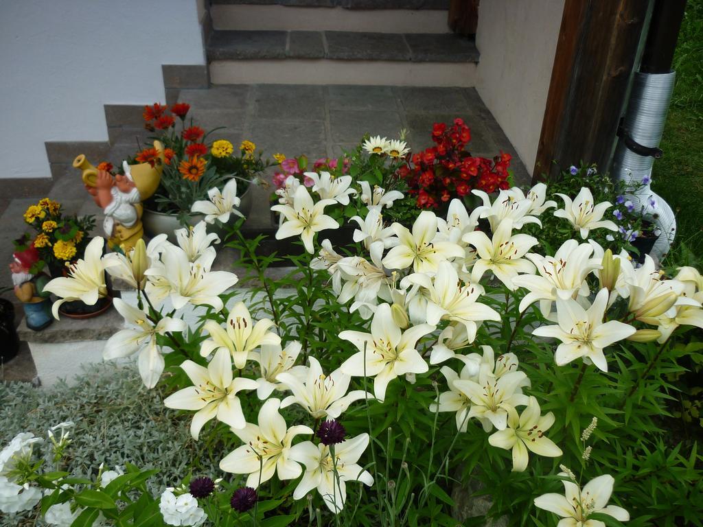 Agriturismo La Flu 산 마르티노 인 바디아 외부 사진